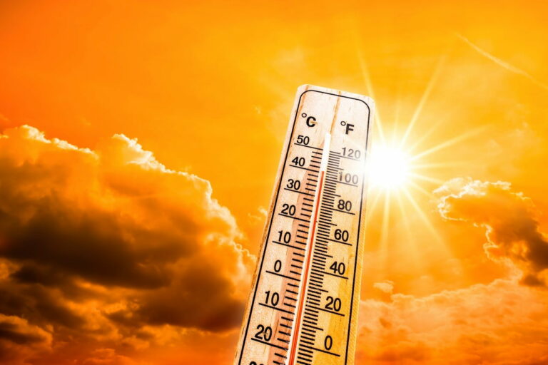 Beat the Heat: Essential Tips for Protecting Your Industrial Electronics This Summer